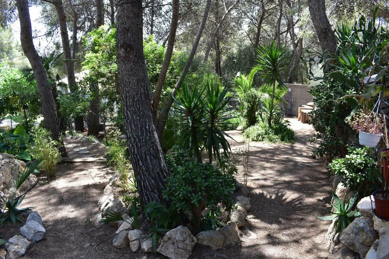 Villa Garden Tarragona 0*,  España